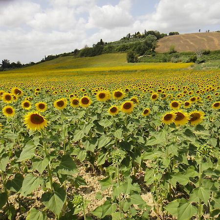 切雷托圭迪Tenuta Di Colle Alberti Agriturismo别墅 外观 照片