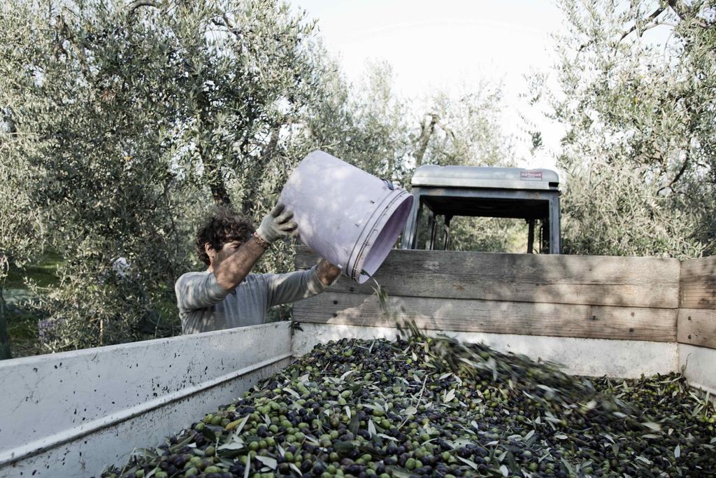 切雷托圭迪Tenuta Di Colle Alberti Agriturismo别墅 外观 照片