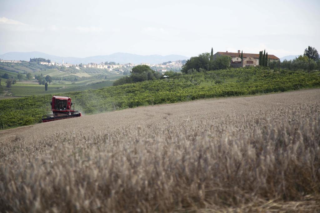 切雷托圭迪Tenuta Di Colle Alberti Agriturismo别墅 外观 照片